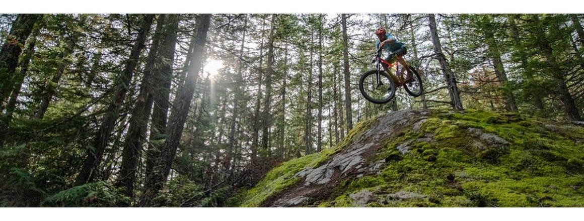 Brug for de bedste produkter til skoven?